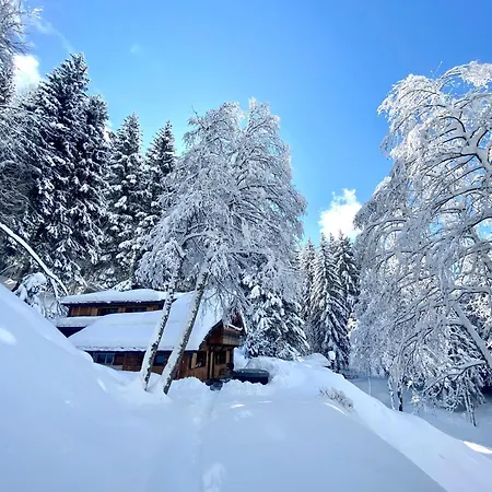 Marmotte Mountain Retreat Chalé