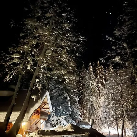 Chalé Marmotte Mountain Retreat Chamonix
