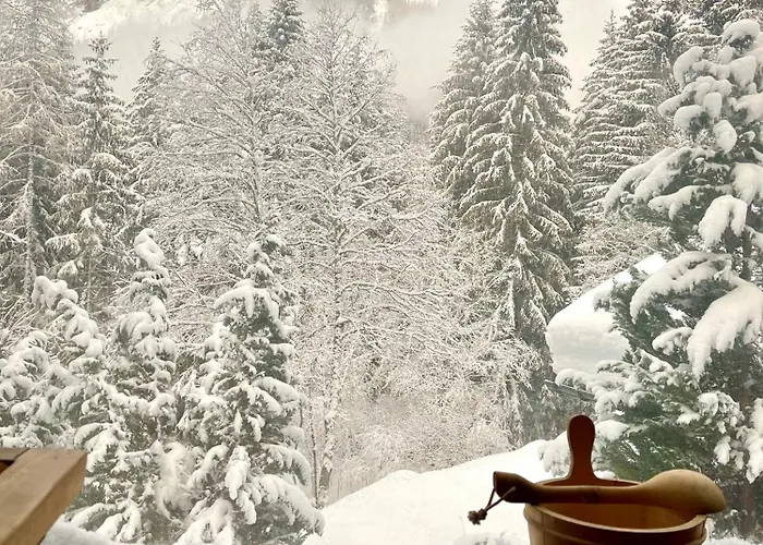 Marmotte Mountain Retreat